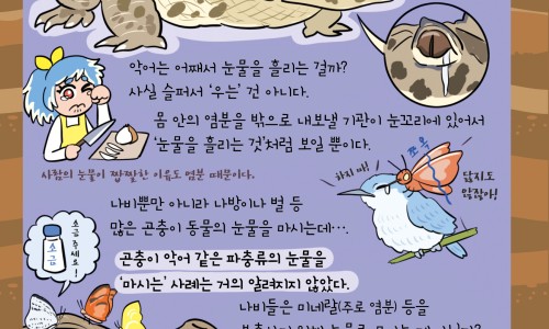 身上有旮瘩挤压出血-身上有旮瘩不疼不痒专区_身上有疙瘩是什么原因专区_身上有旮瘩网